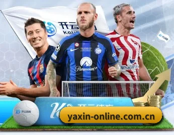 亚新网页版 APP